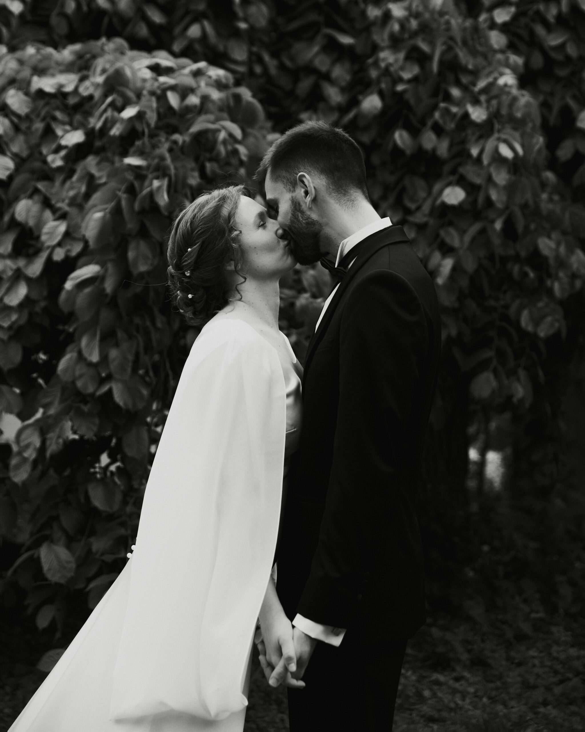 IMG_0093Vizual-1Vizual-1