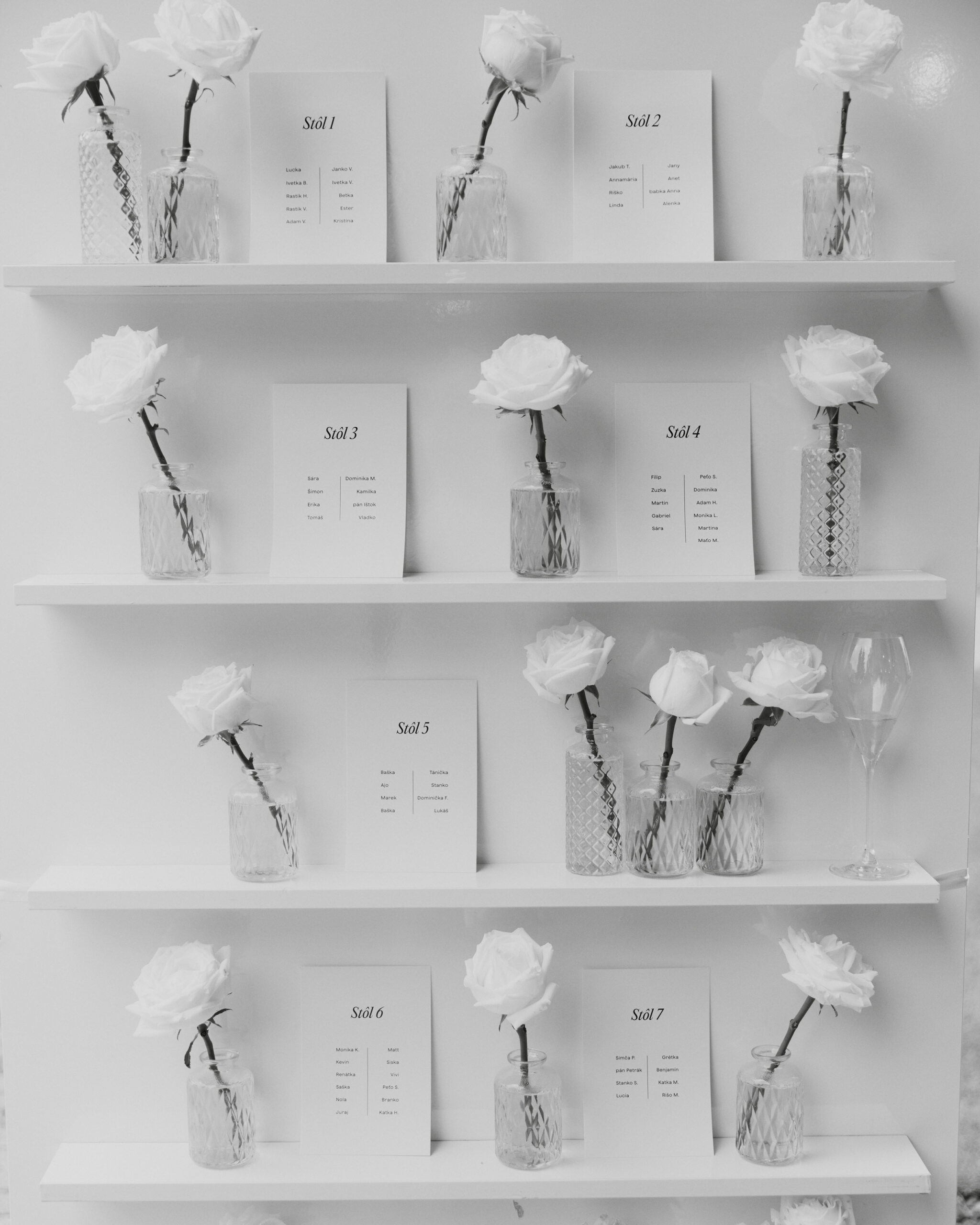 IMG_0214Vizual-1Vizual-1