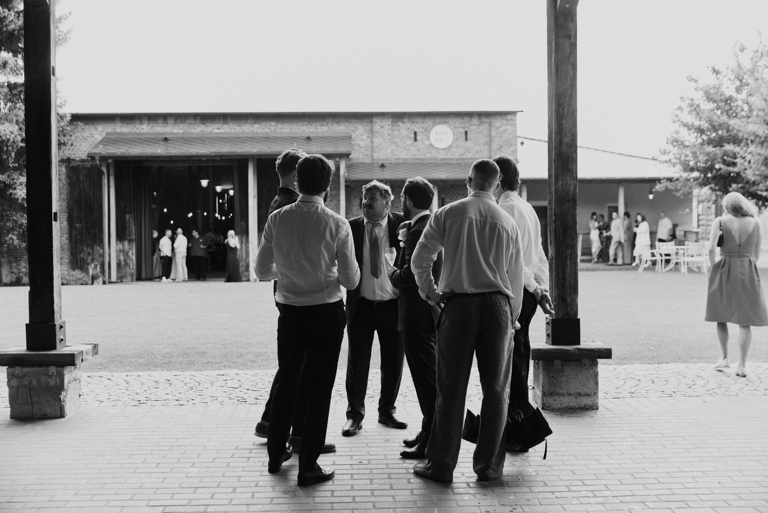 IMG_0340Vizual-1Vizual-1