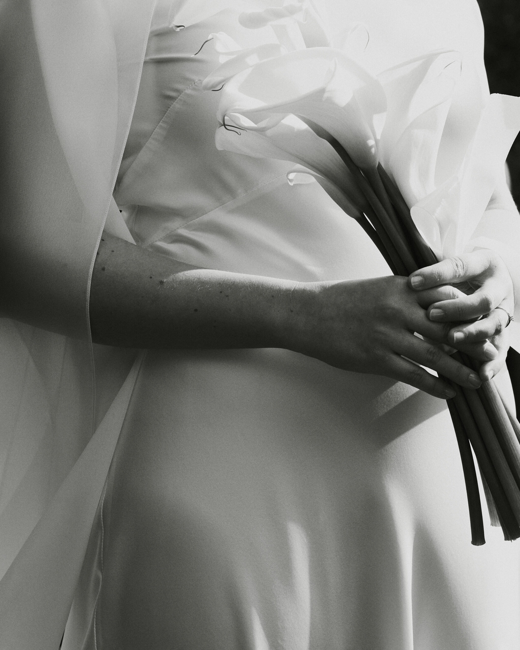 IMG_0420Vizual-1Vizual-1