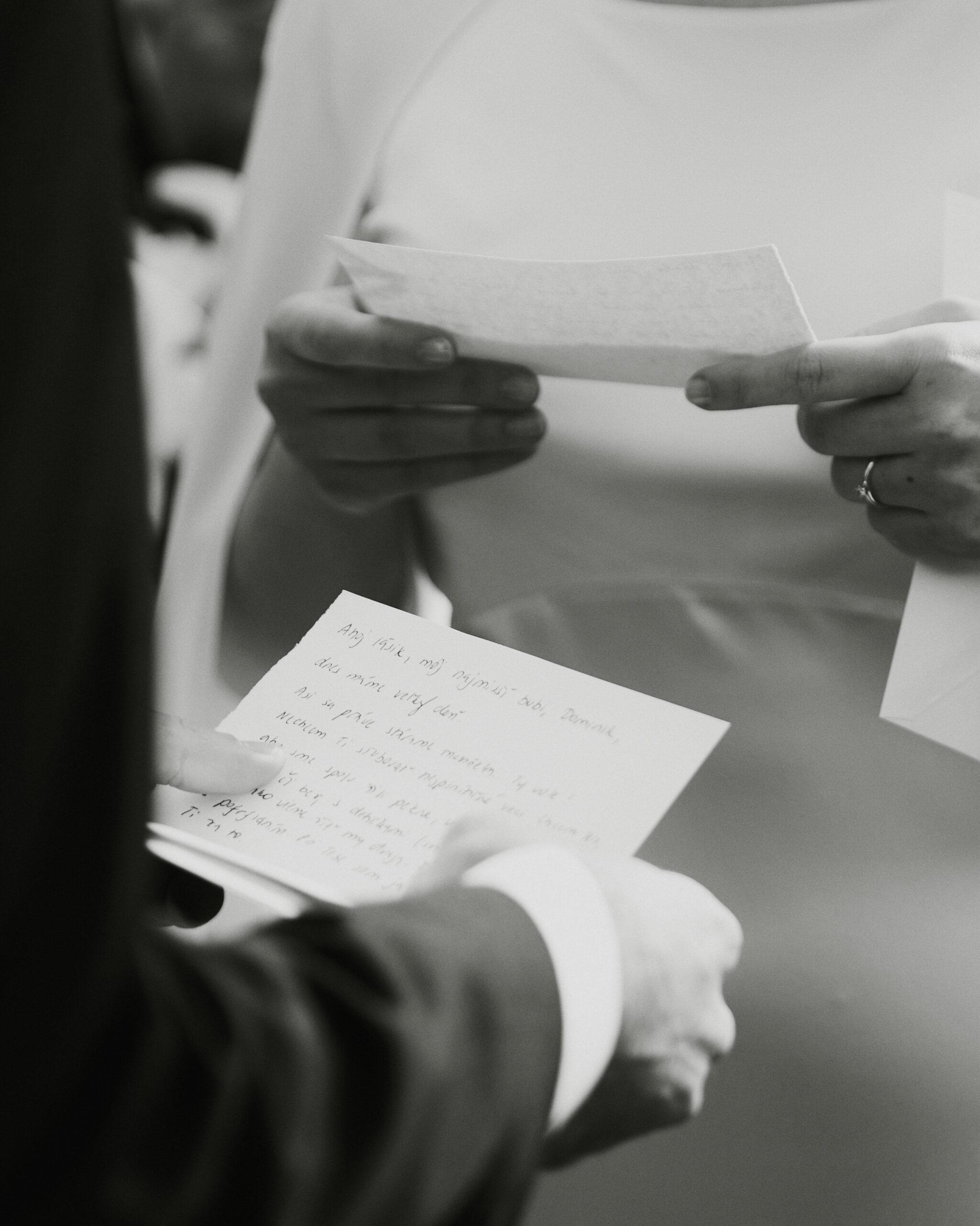 IMG_0456Vizual-1Vizual-1