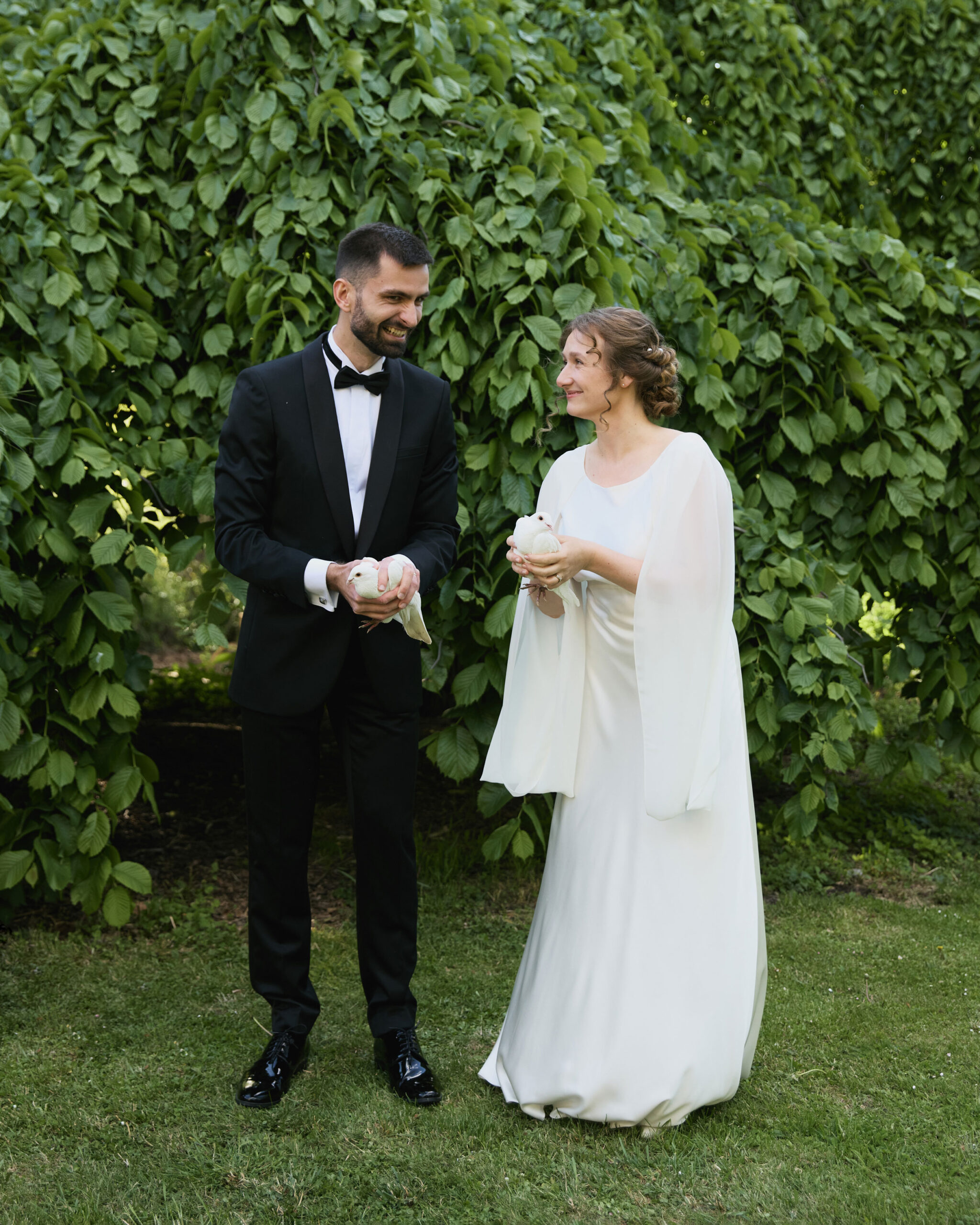 IMG_1245Vizual-1Vizual-1