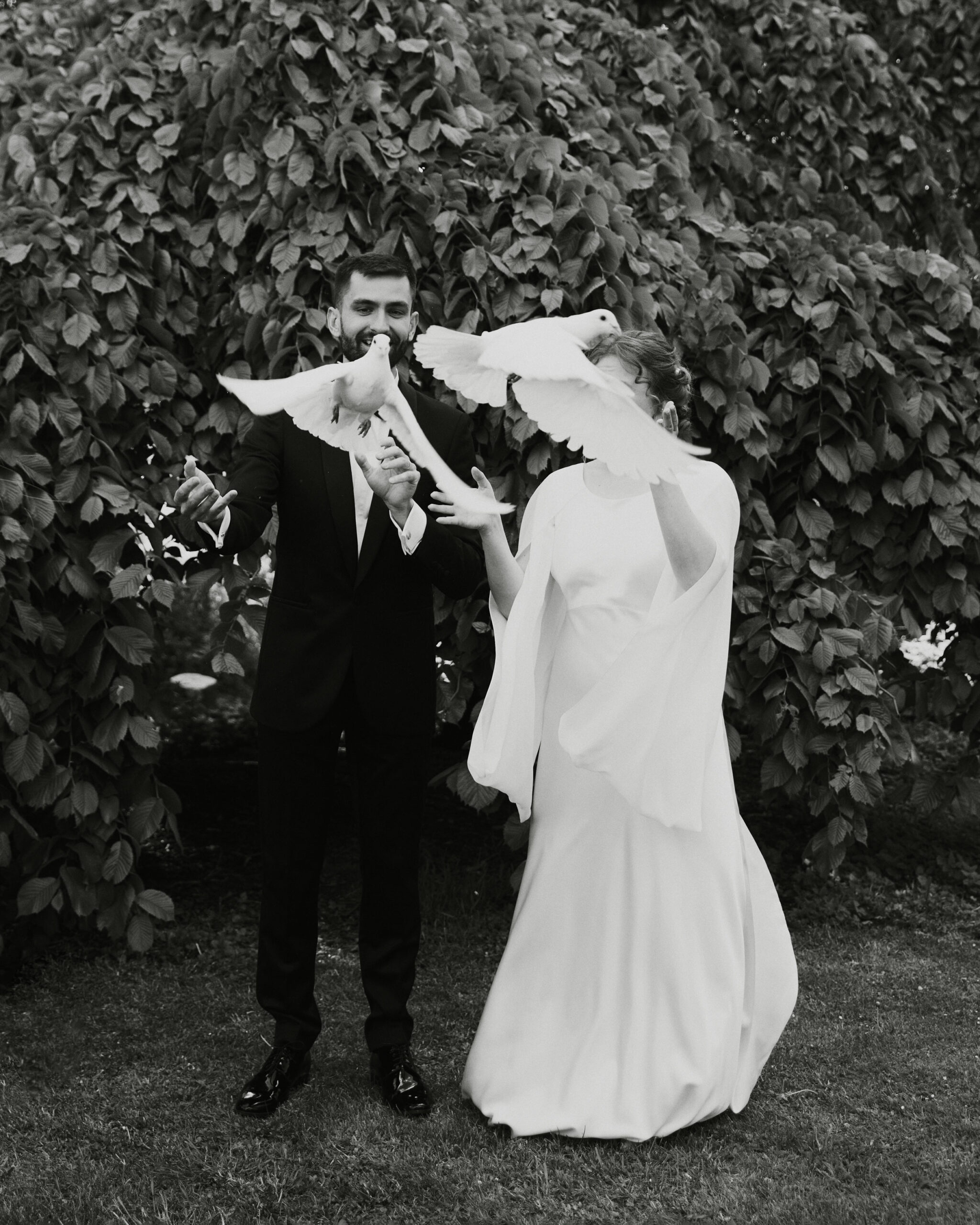 IMG_1249Vizual-1Vizual-1