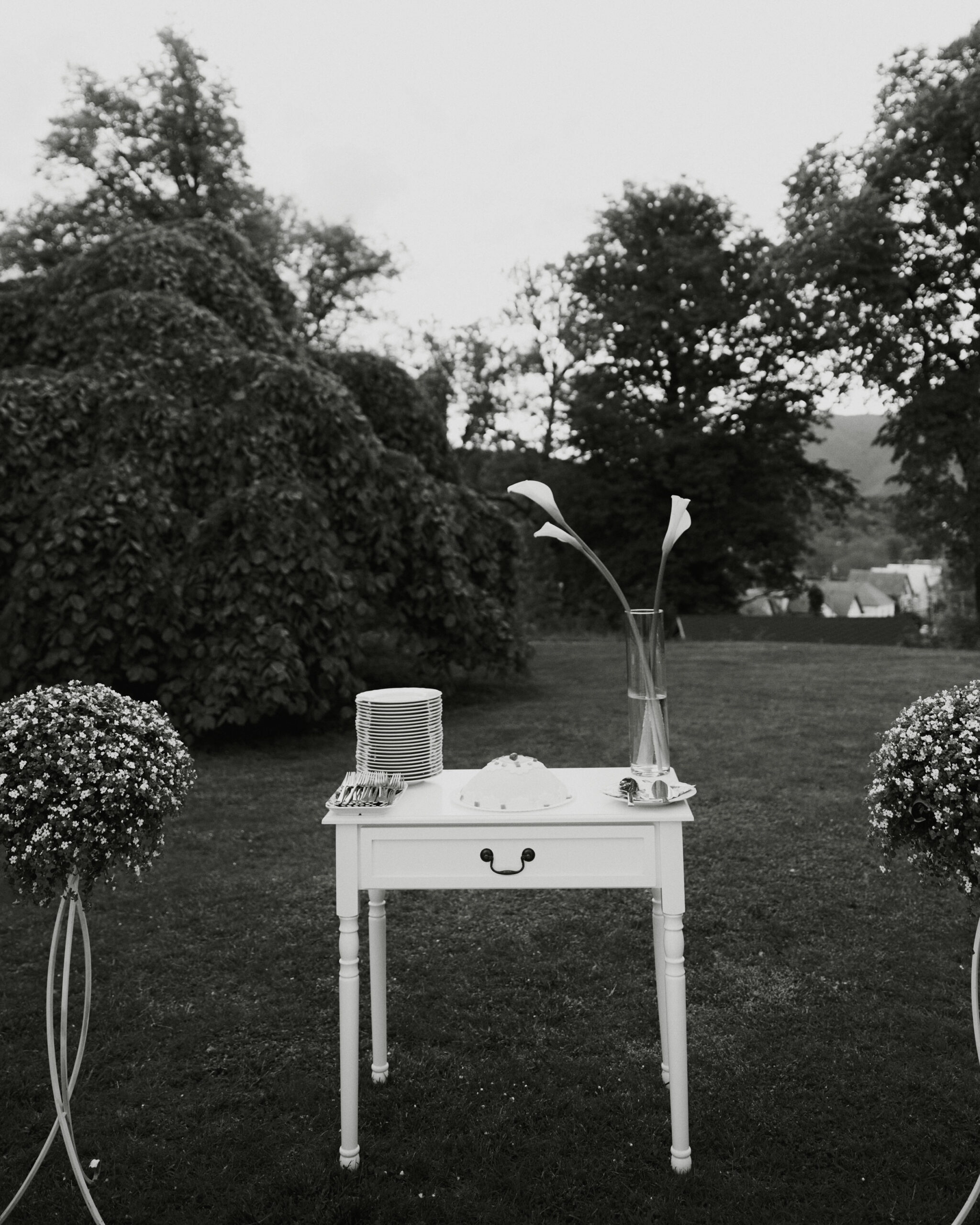 IMG_1983Vizual-1Vizual-1