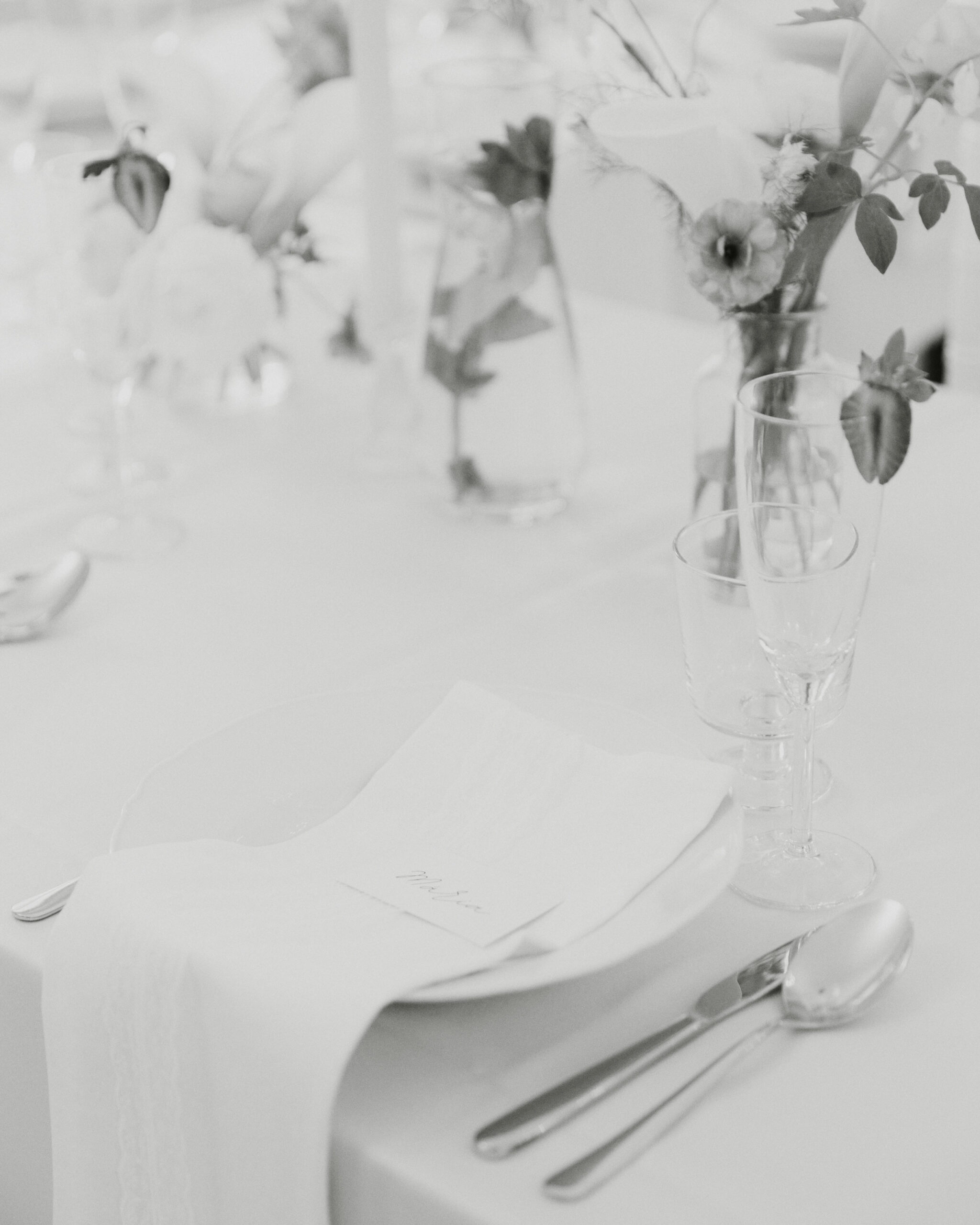 IMG_9251Vizual-1Vizual-1