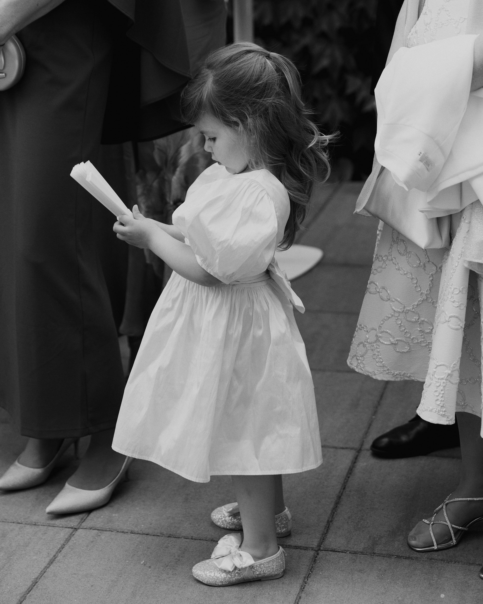 _MG_0888Vizual-1Vizual-1