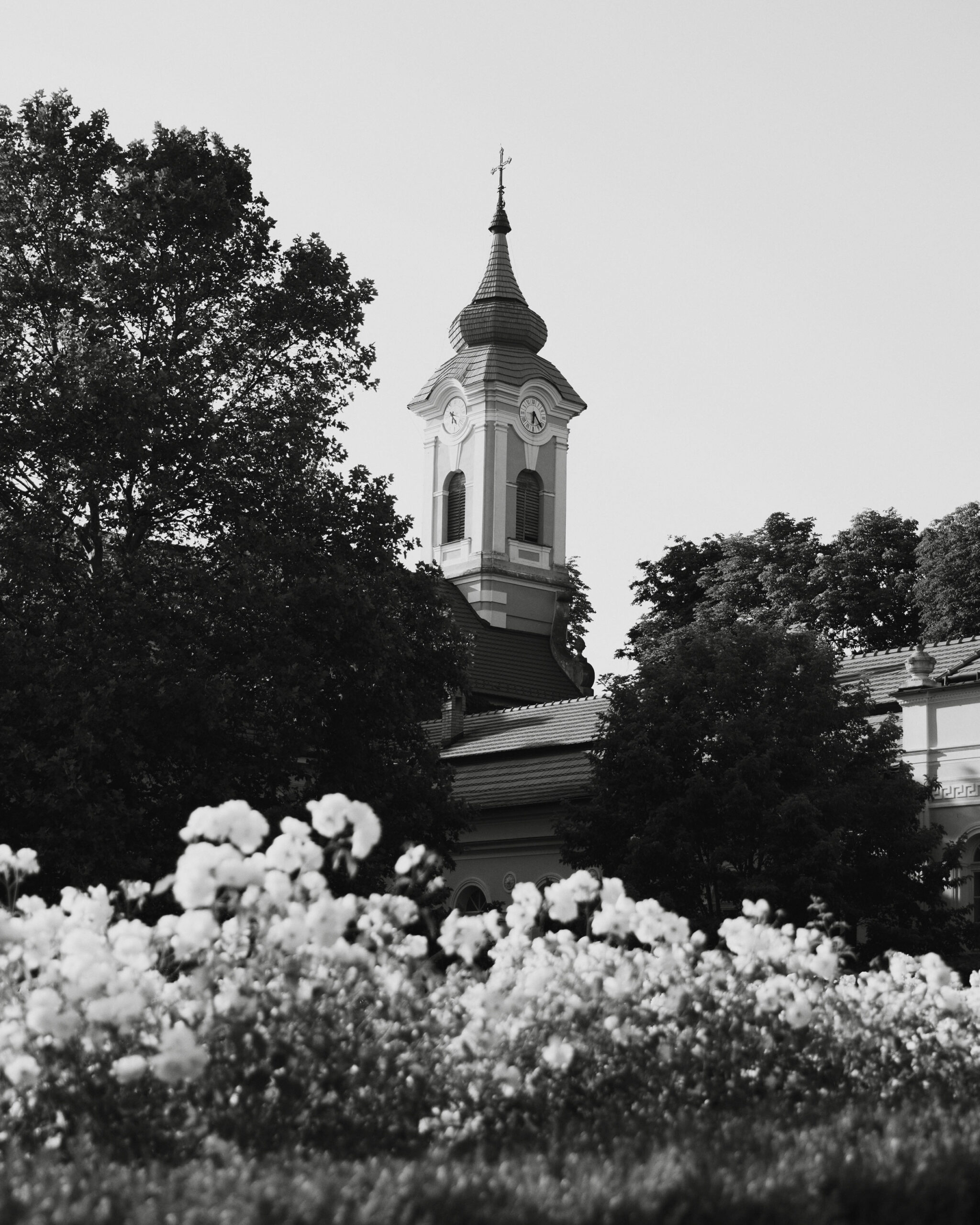 IMG_6637Vizual-1Vizual-1