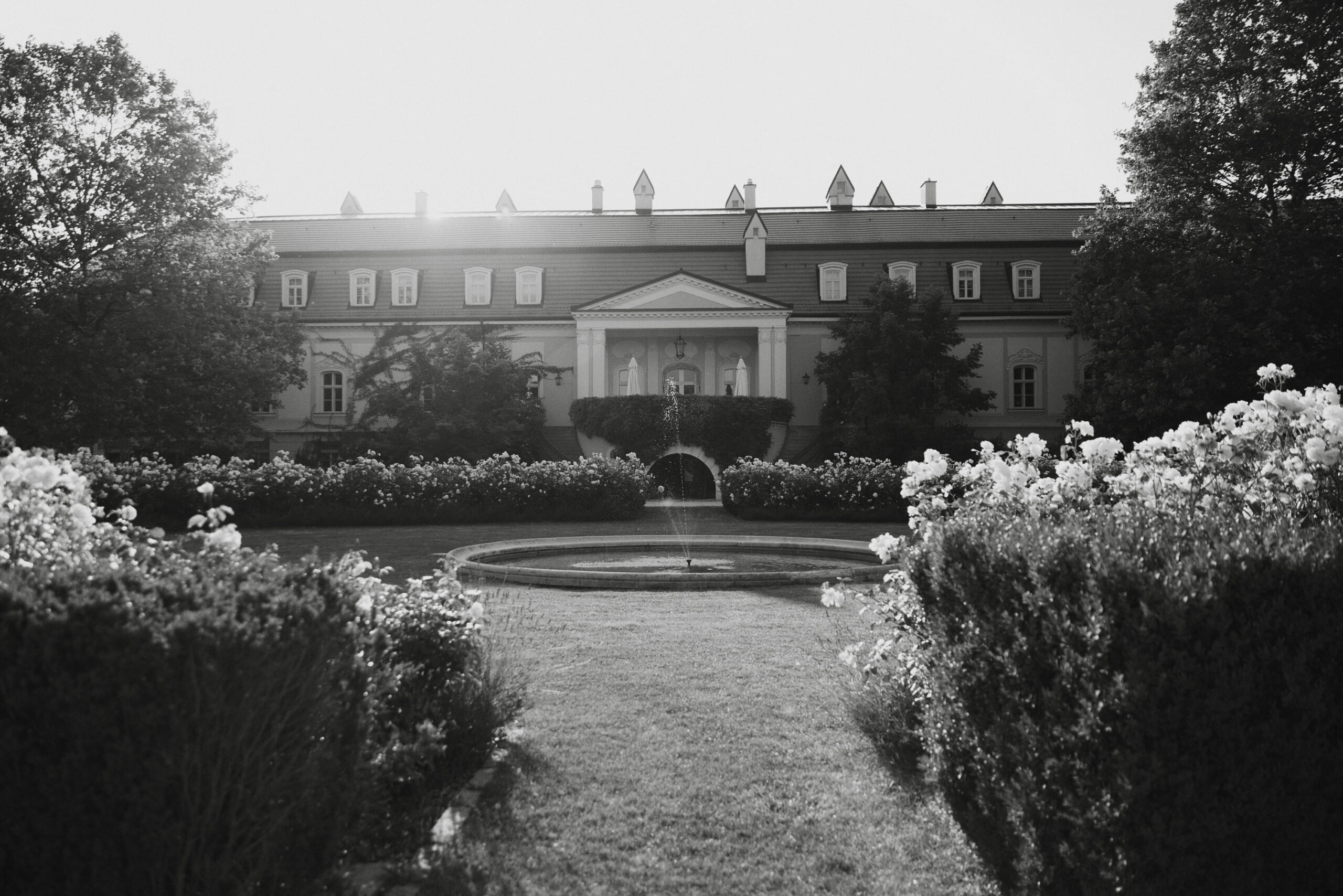 IMG_6639Vizual-1Vizual-1