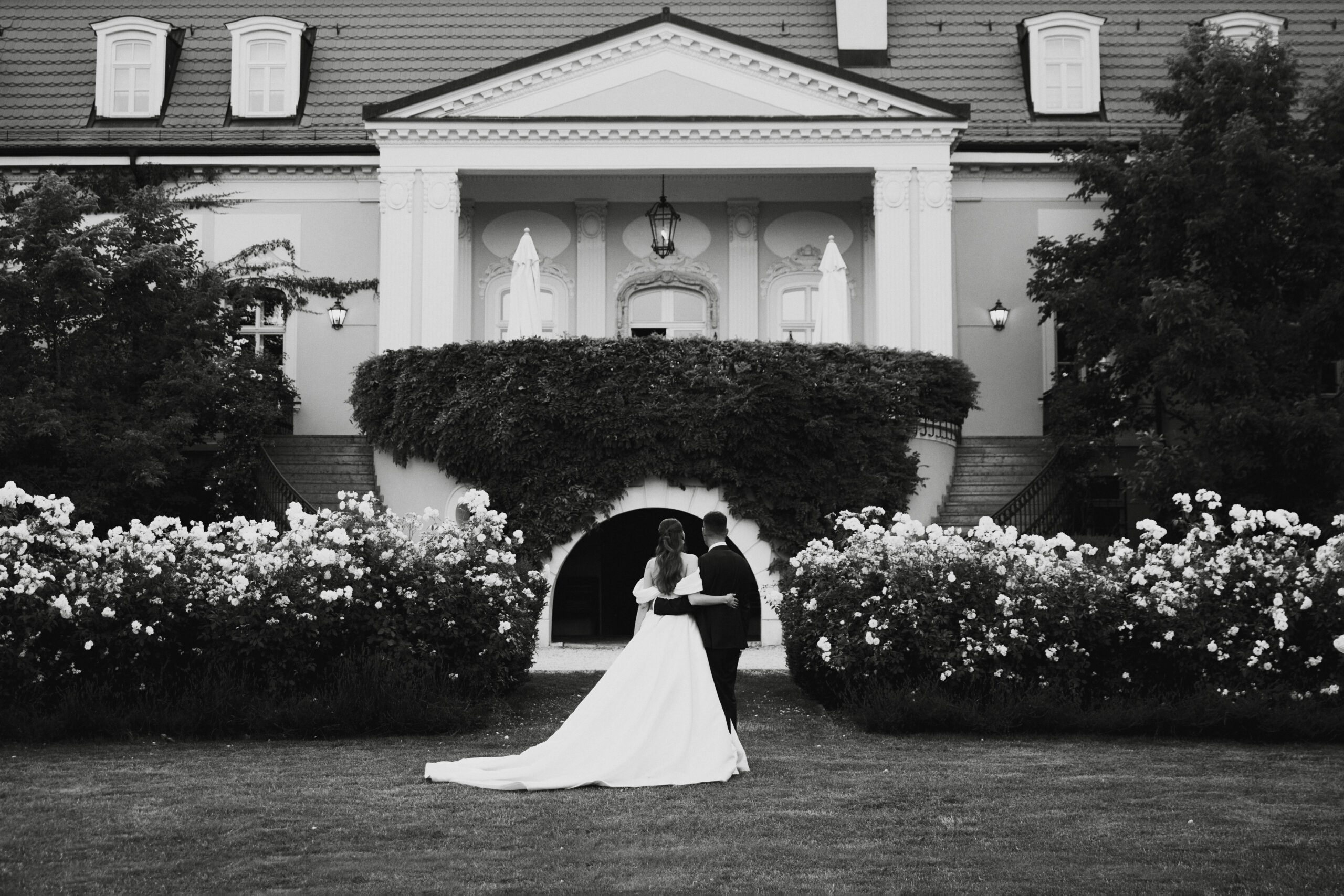 IMG_7413Vizual-1Vizual-1