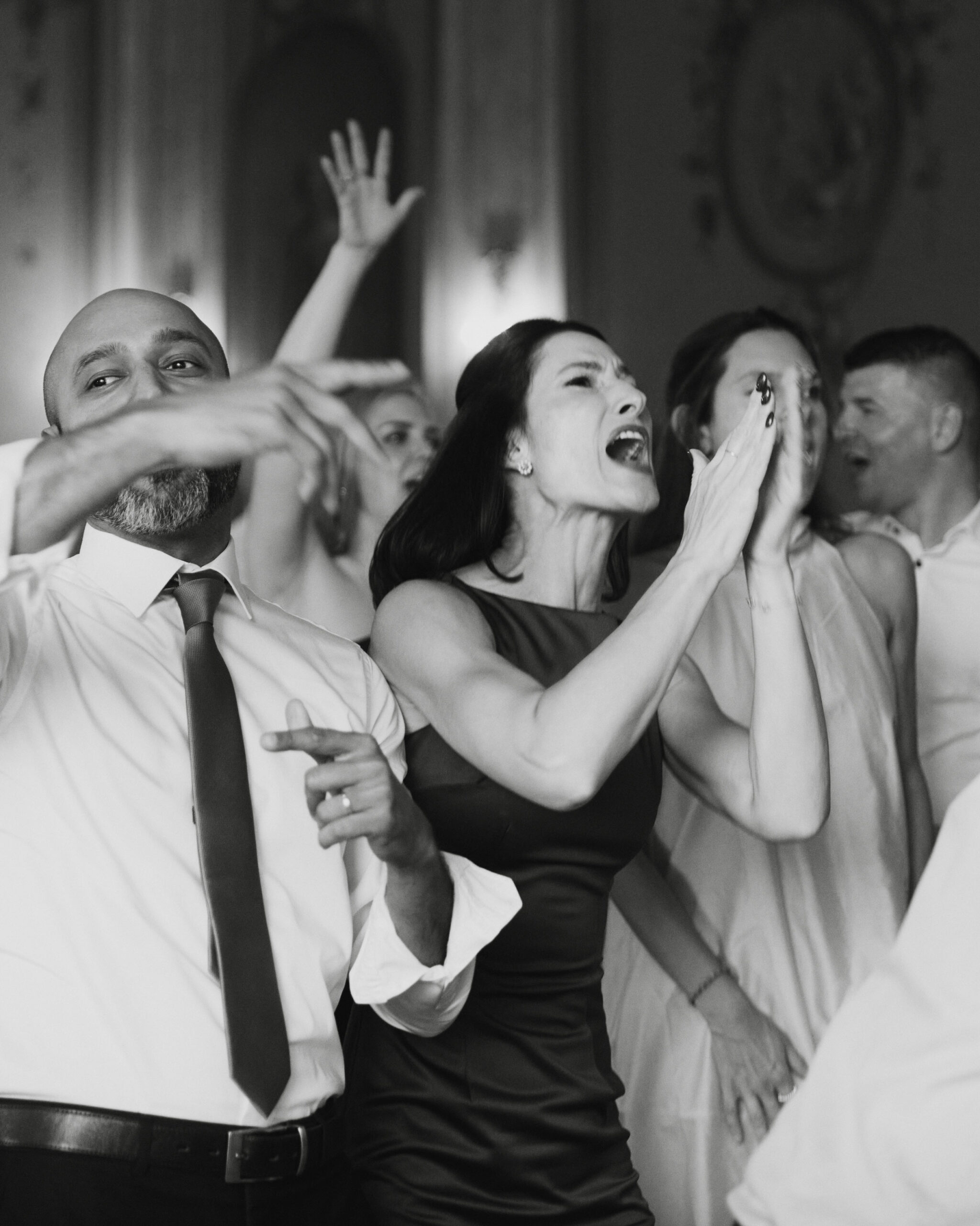 IMG_7980Vizual-1Vizual-1