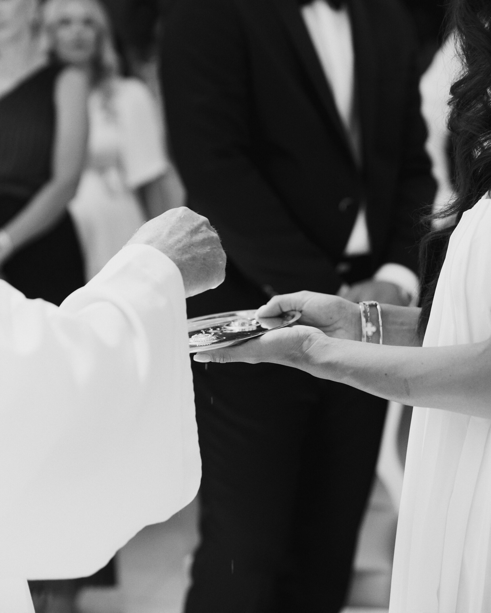 IMG_0156Vizual-1Vizual-1