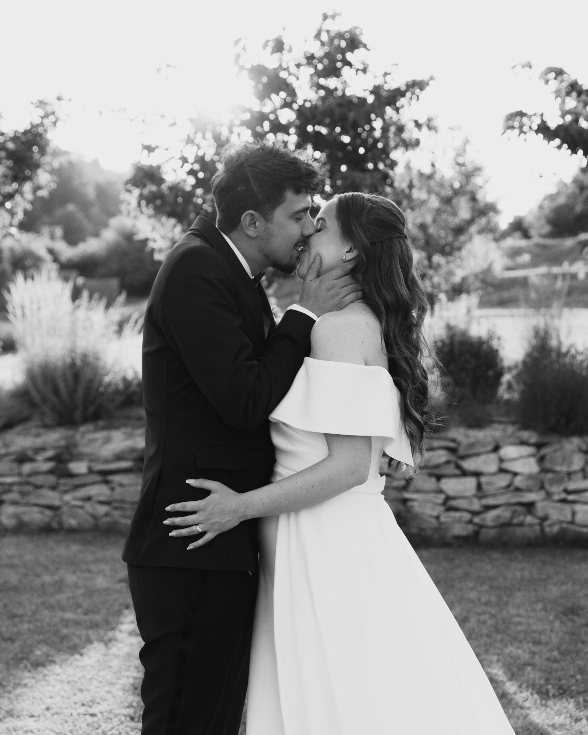 IMG_0731Vizual-1Vizual-1