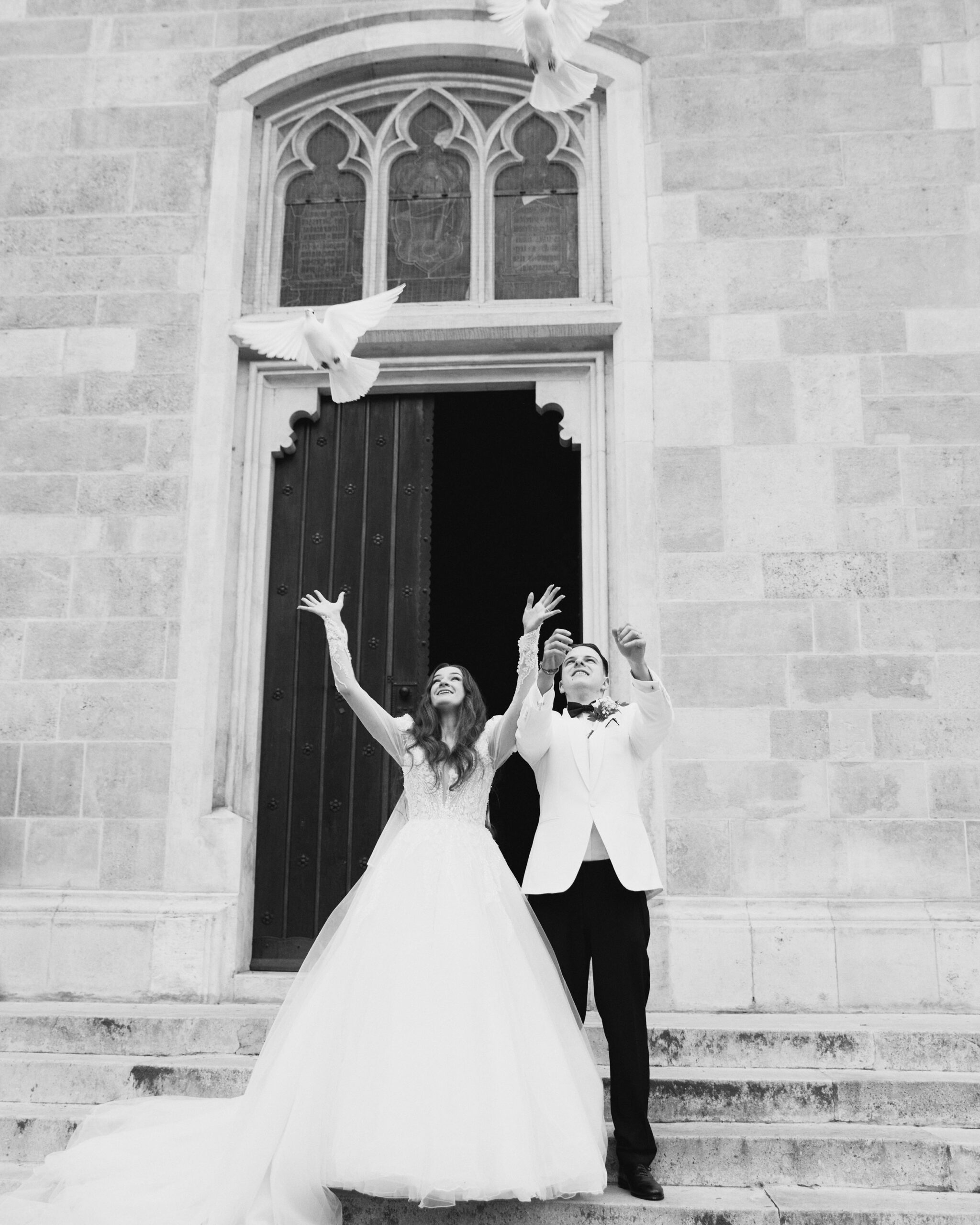 IMG_1617Vizual-1Vizual-1