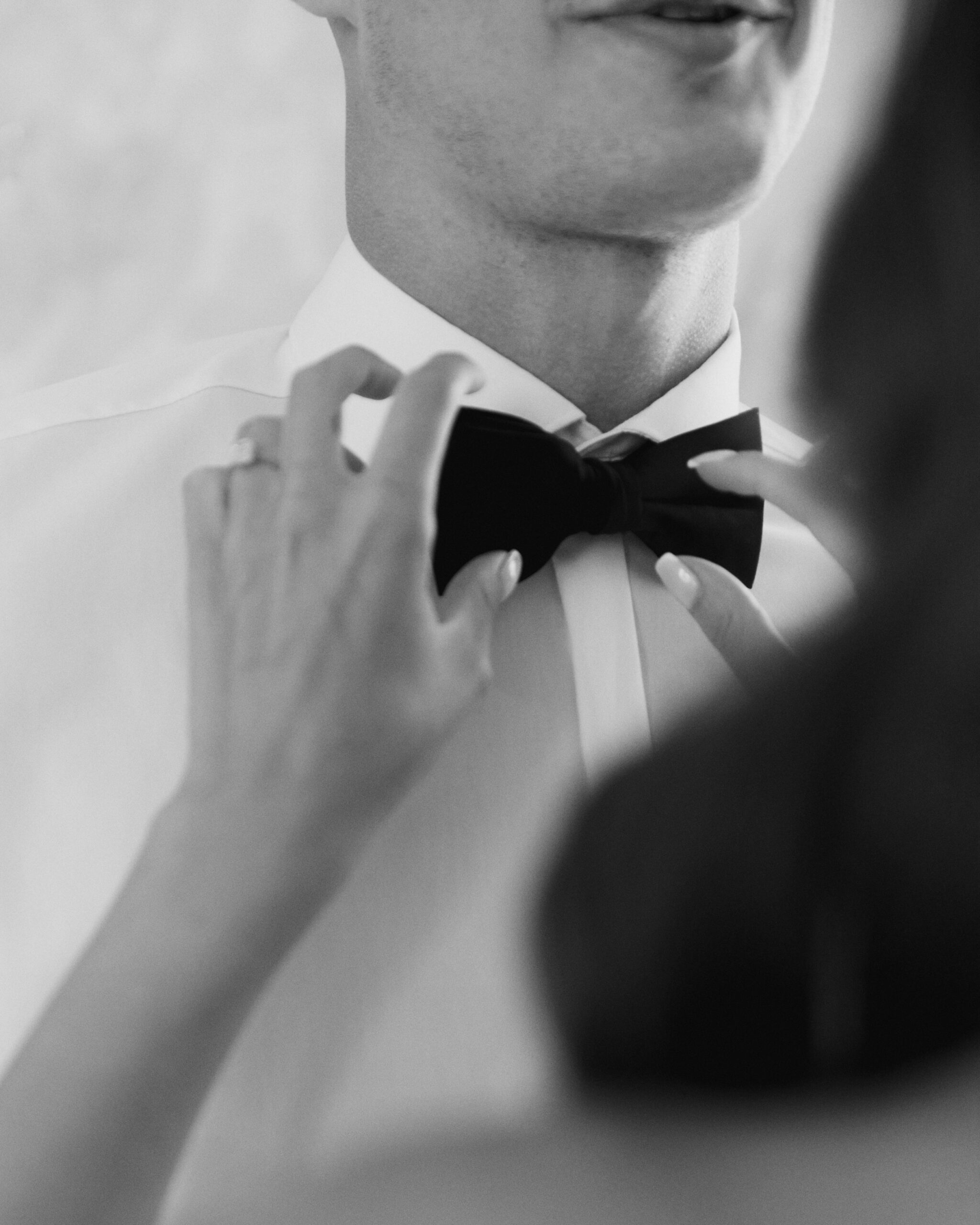 IMG_8506Vizual-1Vizual-1