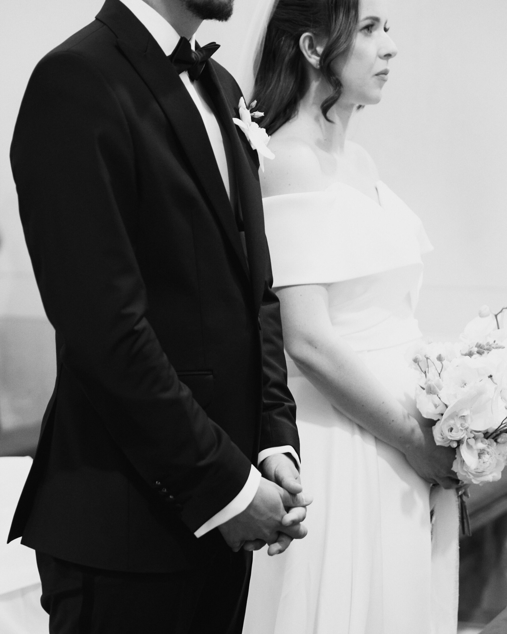 IMG_8584Vizual-1Vizual-1