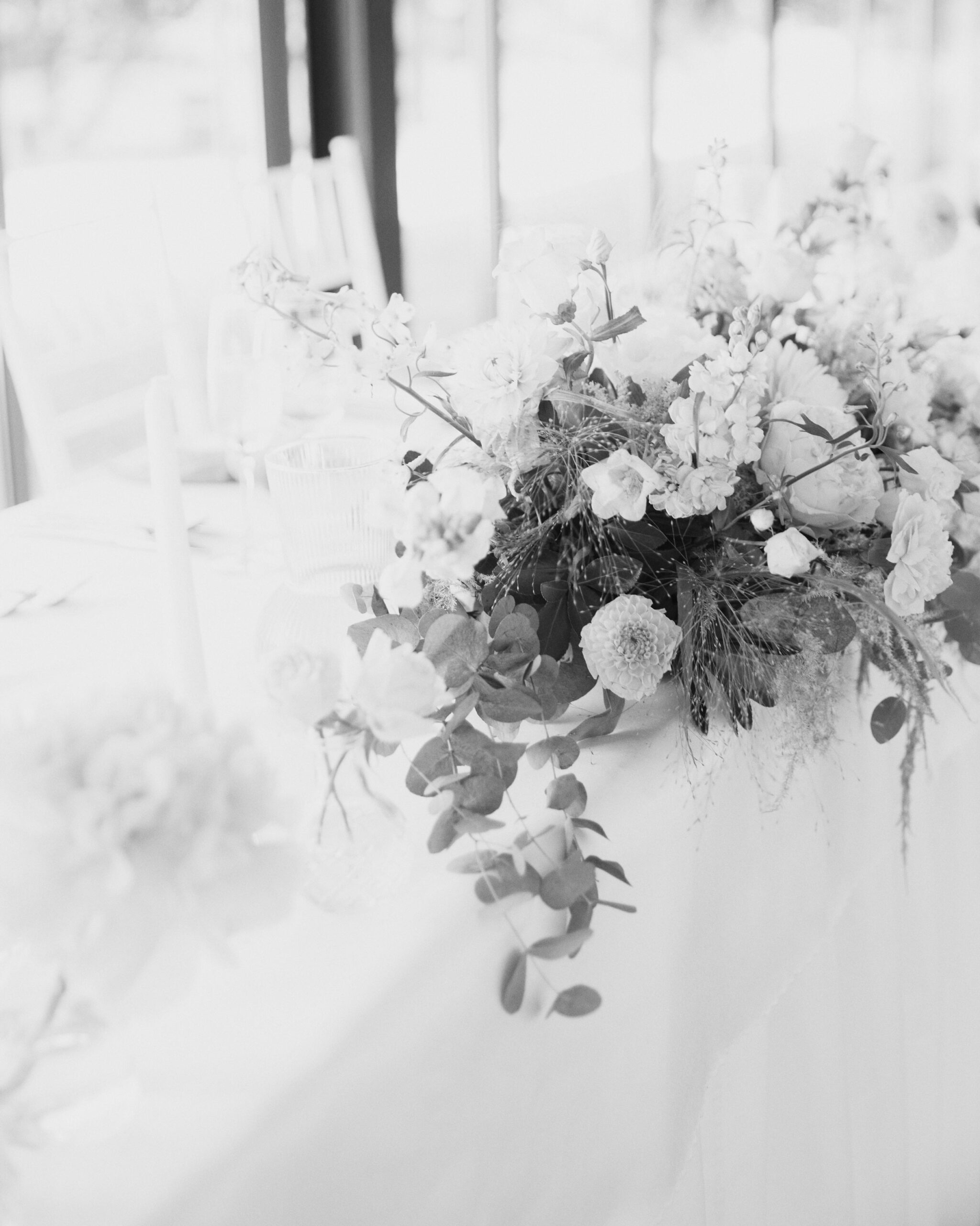 IMG_9411Vizual-1Vizual-1