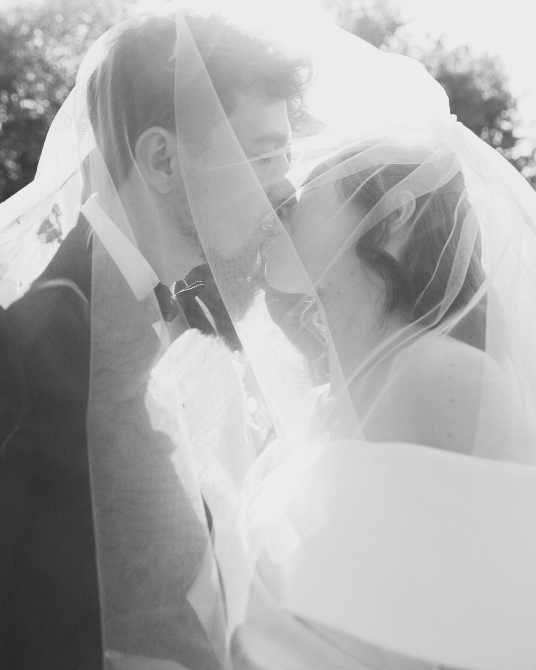 IMG_9541Vizual-1Vizual-1