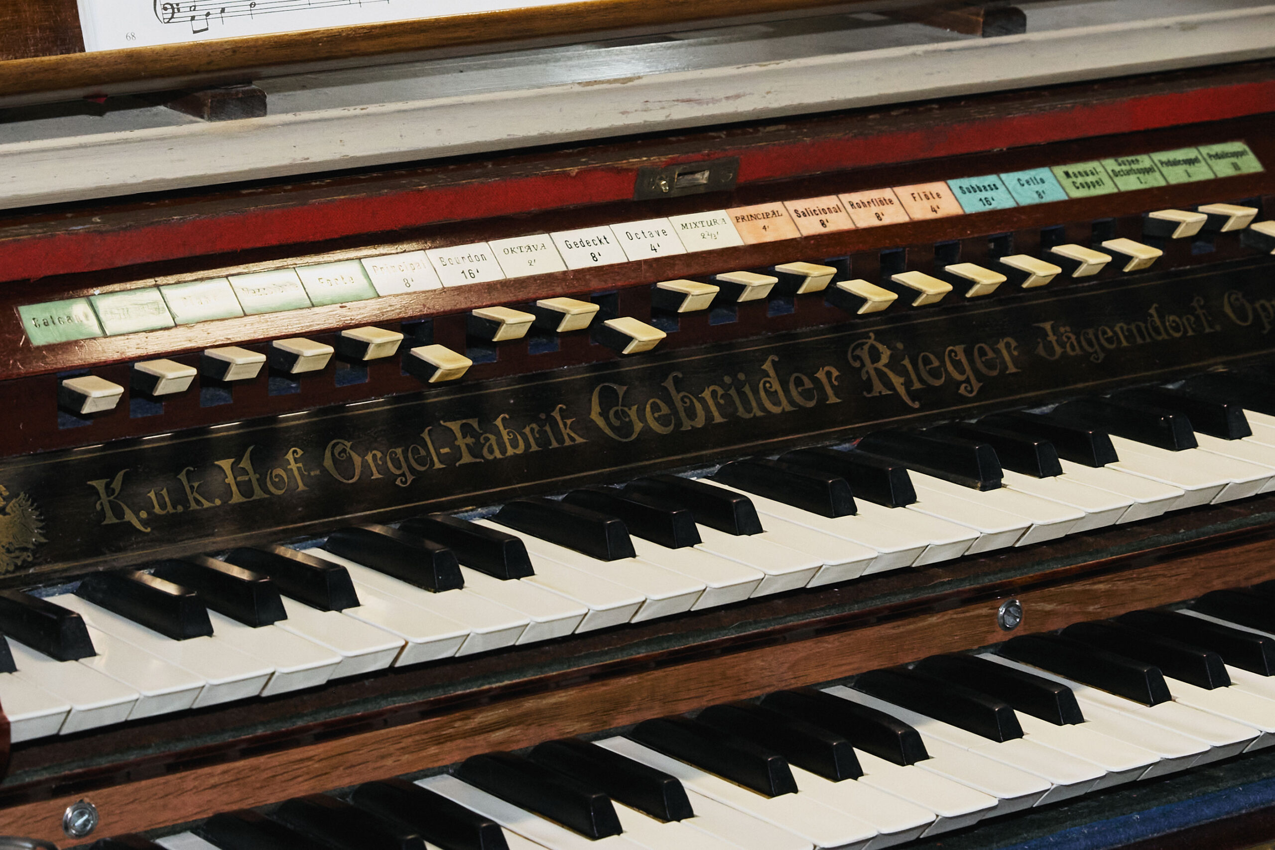 IMG_0871Vizual-1